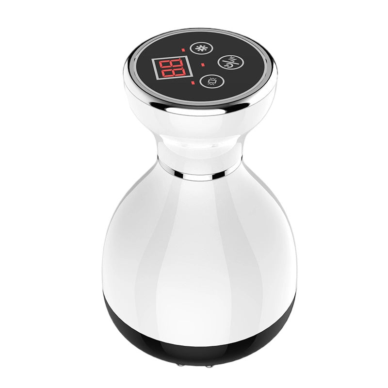 Microcurrent Heated Facial Massage Brush